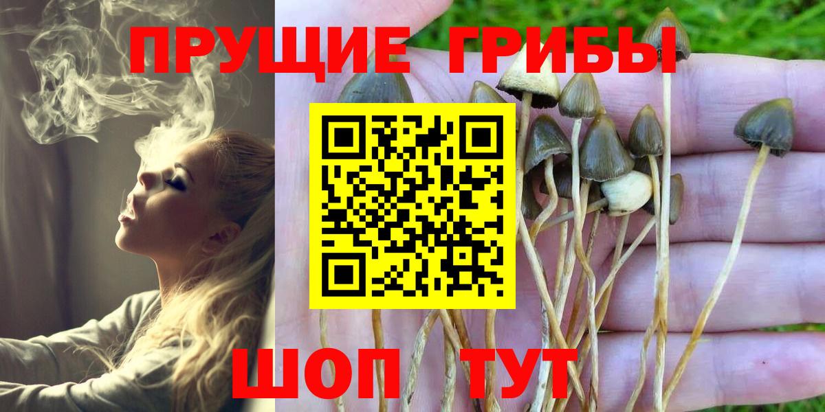 Галлюциногенные грибы прущие грибы Кудымкар