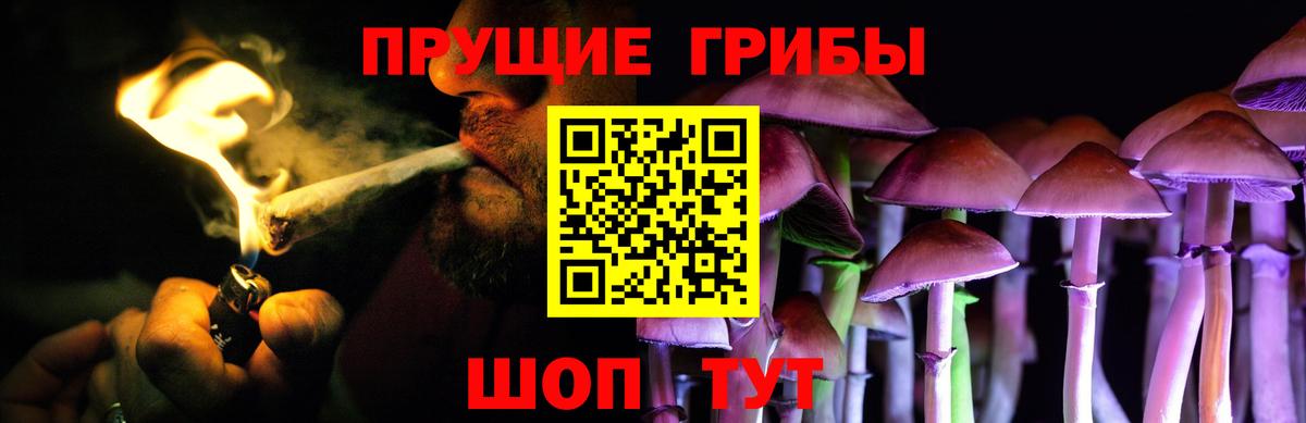 Псилоцибиновые грибы GOLDEN TEACHER  Вход с VPN  Кудымкар 